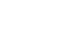 Ford Logo